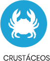 Crustaceos